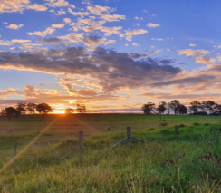 Rural Refresher Symposium 2025